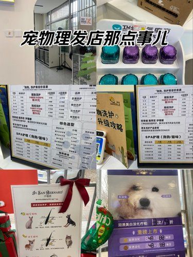 盘点狗子喜欢的河北区洗护店