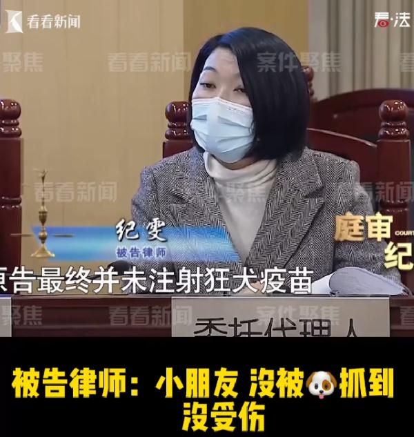 未牵绳宠物犬狂追5岁男孩家长索赔5千元 狗主人:小孩不跑狗就不追了