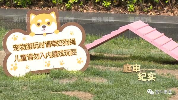 未牵绳宠物犬狂追5岁男孩家长索赔5千元 狗主人:小孩不跑狗就不追了