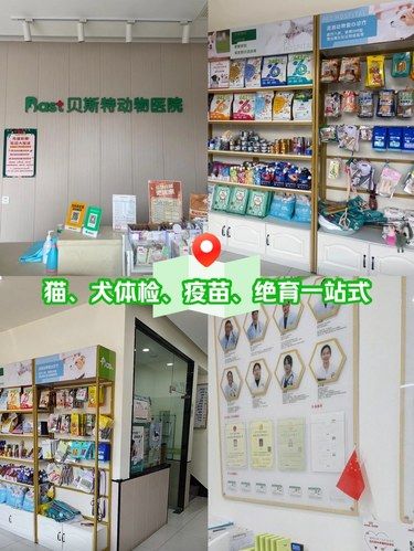 长沙超棒的宠物医院绝育、疫苗、体检一站式