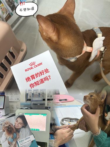 长沙…这家宠物医院很靠谱…不坑人