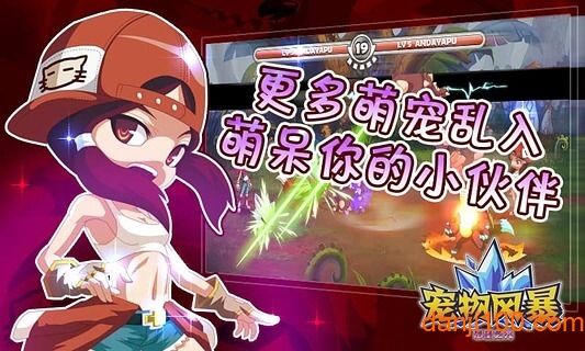 宠物风暴手机版v1.37 安卓版 1
