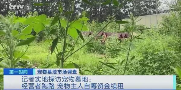 昌平宠物火化_宠物火化北京_宠物火化北京昌平