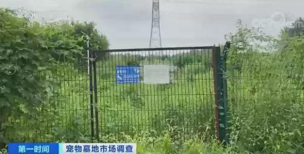 宠物火化北京昌平_宠物火化北京_昌平宠物火化