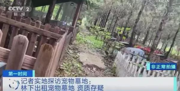宠物火化北京_宠物火化北京昌平_昌平宠物火化