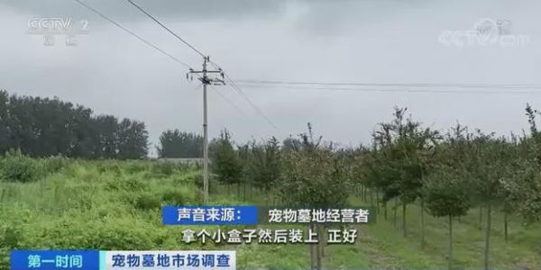 宠物火化北京昌平_宠物火化北京_昌平宠物火化