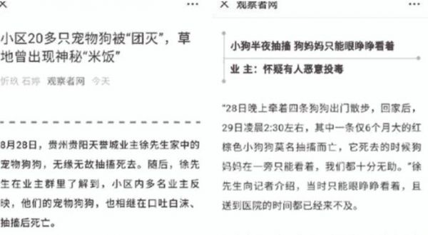 小区多只宠物狗被“团灭”,疑似有人故意投毒,却有多人拍手称好