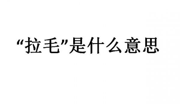 【网络用语】“拉毛”是什么意思？