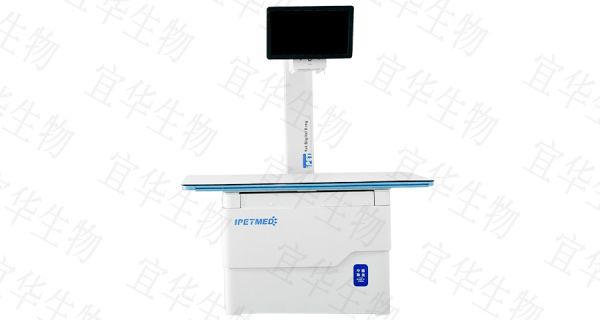 北京乌龟宠物DR批发商,宠物DR