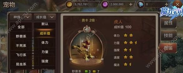 魔力宝贝手游辅助宠物怎么加点 辅助宠物加点推荐[多图]图片1