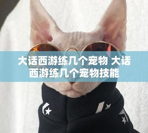 大话西游练几个宠物 大话西游练几个宠物技能