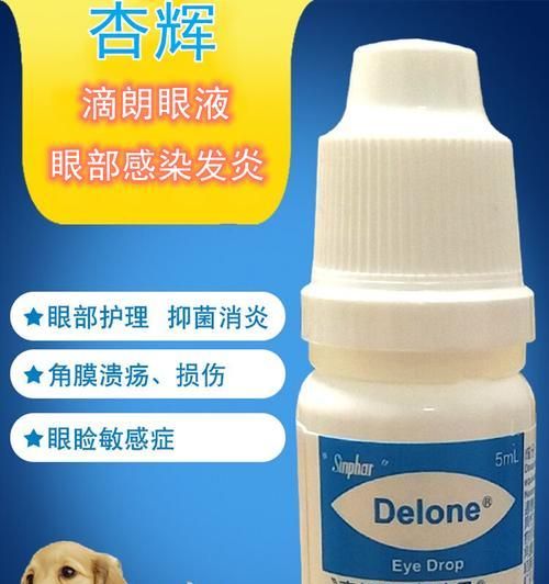 保护宠物眼睛从眼药水开始（选择适合猫咪的眼药水）