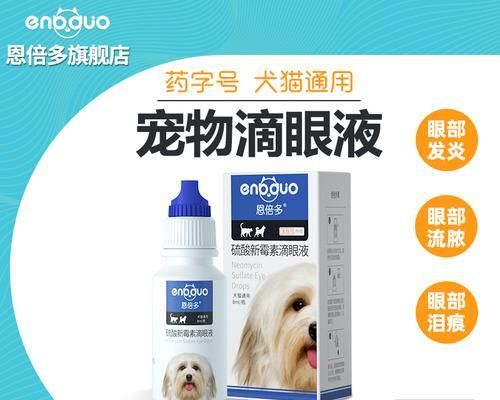 保护宠物眼睛从眼药水开始（选择适合猫咪的眼药水）