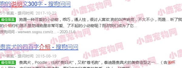 茶杯犬简介了500字