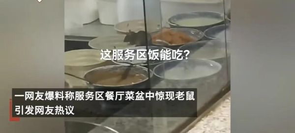 河南平顶山一服务区服务区菜盆中惊现老鼠,这服务区饭能吃?