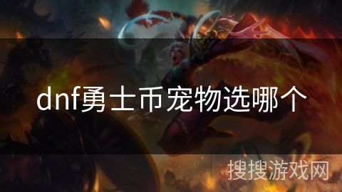 dnf勇士币宠物选哪个