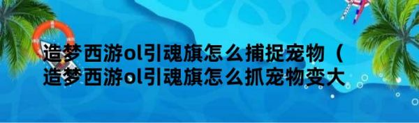 造梦西游ol引魂旗怎么捕捉宠物（造梦西游ol引魂旗怎么抓宠物变大）