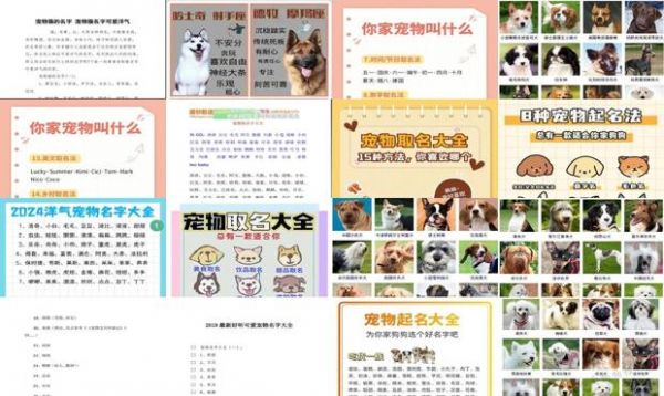 宠物可爱的名字大全