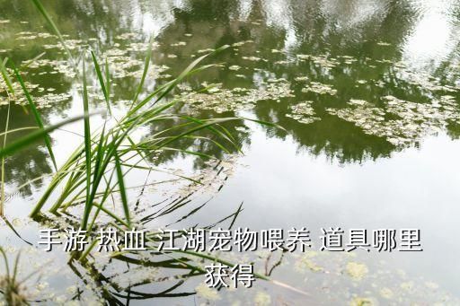 手游 热血 江湖宠物喂养 道具哪里获得