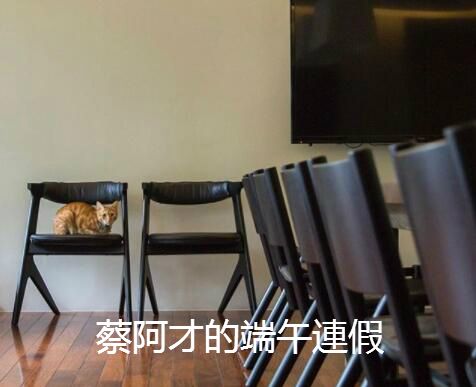蔡英文的宠物猫(台媒)