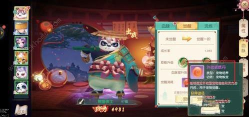 神雕侠侣2手游宠物怎么觉醒 宠物觉醒技巧详解图片4