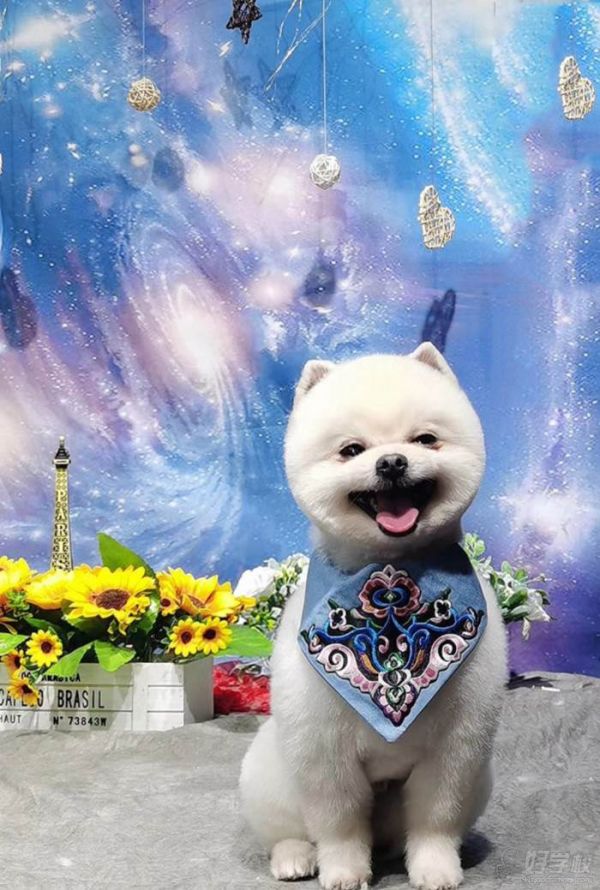 学员作品