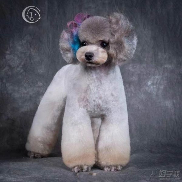优秀作品