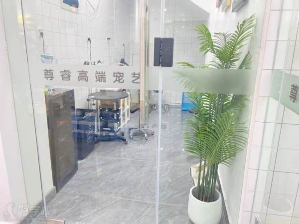学校环境