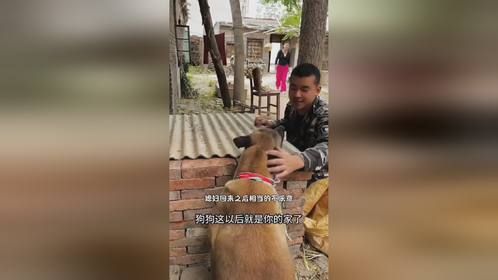 狗狗 -让你不喜欢我