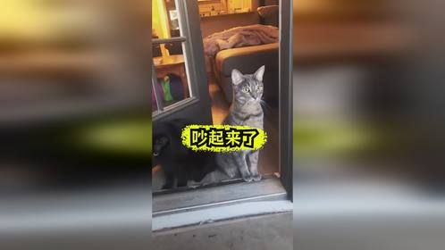 王嫂和李嫂又吵起来了，指定是因为老王的事