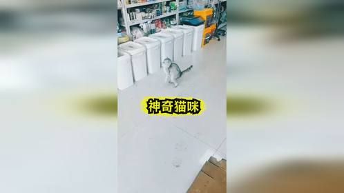 二咪子太神奇了，我以为我自己眼花了