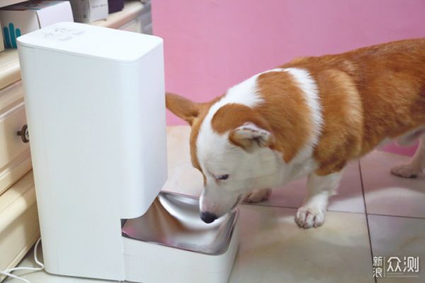 米家智能宠物喂食器，听话的喂食器，呵护爱宠_新浪众测