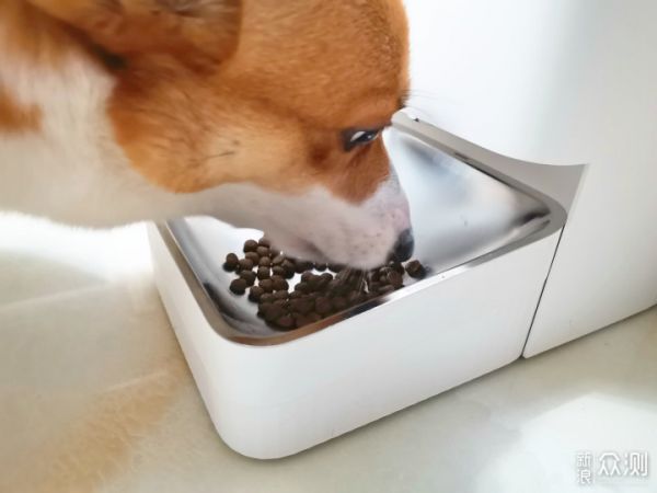米家智能宠物喂食器，听话的喂食器，呵护爱宠_新浪众测