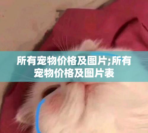 所有宠物价格及图片;所有宠物价格及图片表