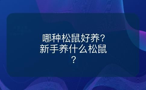 哪种松鼠好养?新手养什么松鼠?