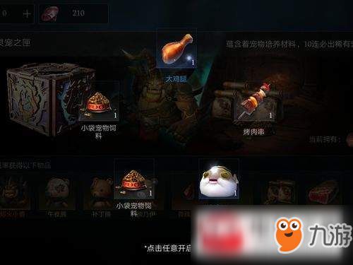 拉结尔宠物培养指南