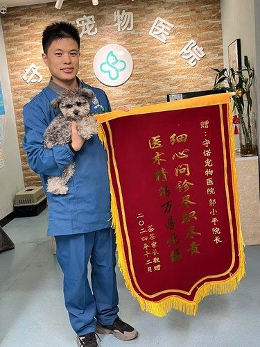 医术超赞 医心更美~