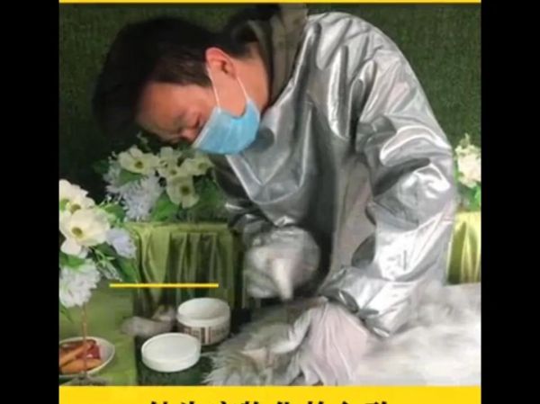 南京宠物火化善终服务所_南京有没有宠物火化_南京宠物殡葬火化