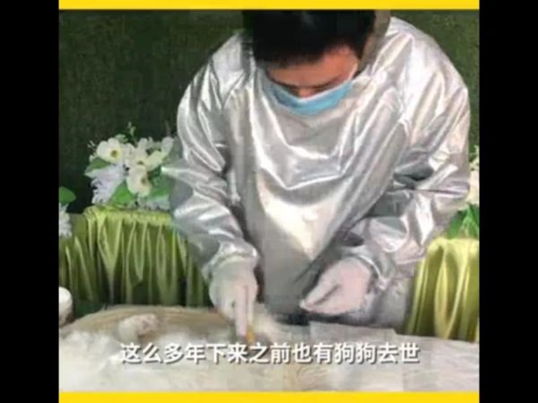 南京宠物火化善终服务所_南京宠物殡葬火化_南京有没有宠物火化
