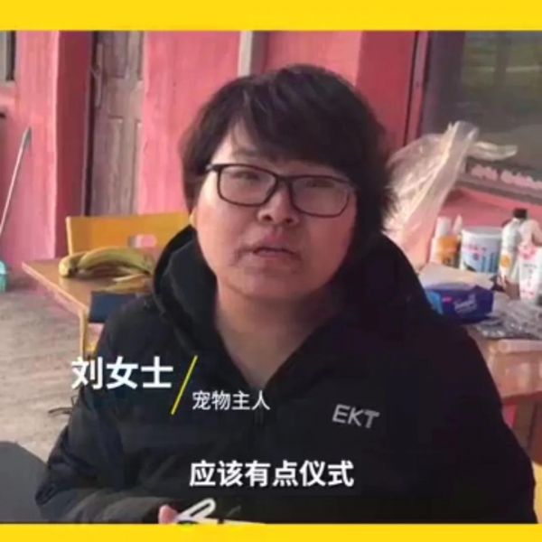 南京宠物殡葬火化_南京宠物火化善终服务所_南京有没有宠物火化