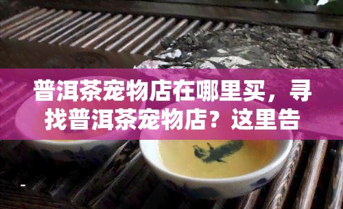 普洱茶宠物店在哪里买，寻找普洱茶宠物店？这里告诉你哪里可以买到！