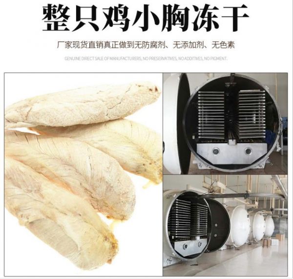 山东宠物零食冻干公司
