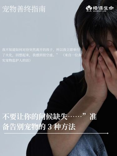 准备好和宠物告别的三种方式，让相遇不留遗憾