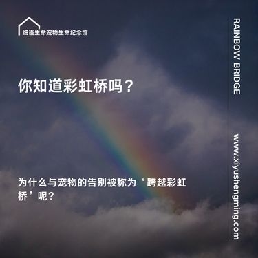 为什么与宠物告别被称为“跨越彩虹桥”呢？
