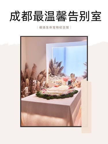 成都蕞温馨宠物告别间