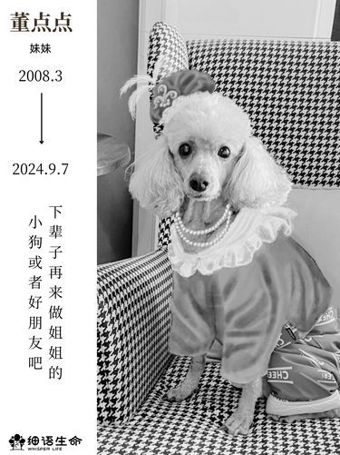 下辈子，再来做姐姐的小狗或者好朋友吧