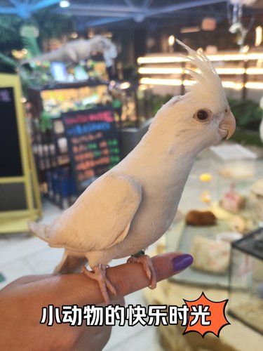 小动物的快乐时光