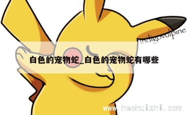白色的宠物蛇_白色的宠物蛇有哪些 第1张