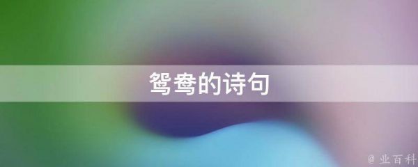 鸳鸯的诗句