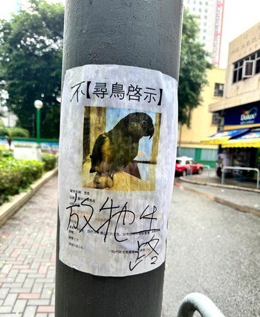 有的人怎么能那么无知？